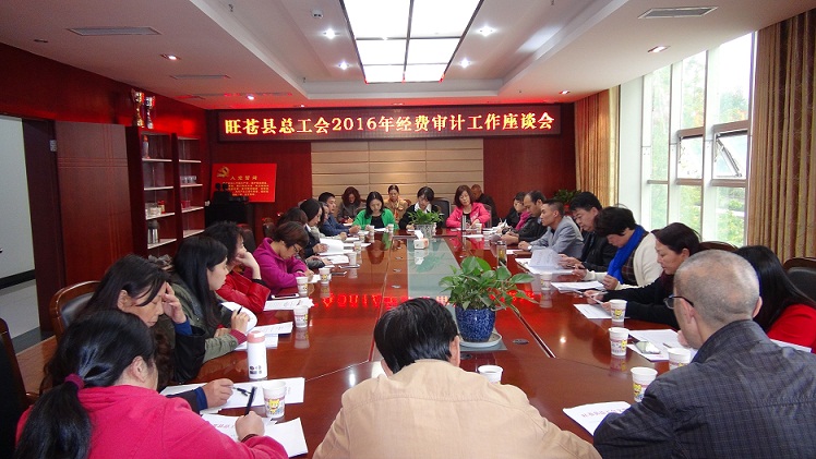 旺苍经审工作座谈会.JPG