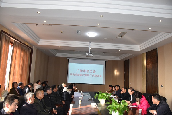 市总脱贫攻坚驻村帮扶工作座谈会 (1).JPG