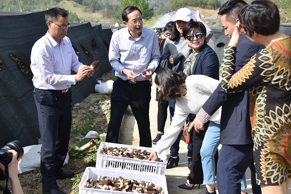 市总工会女职工委员会召开七届二次全委会 (1).JPG
