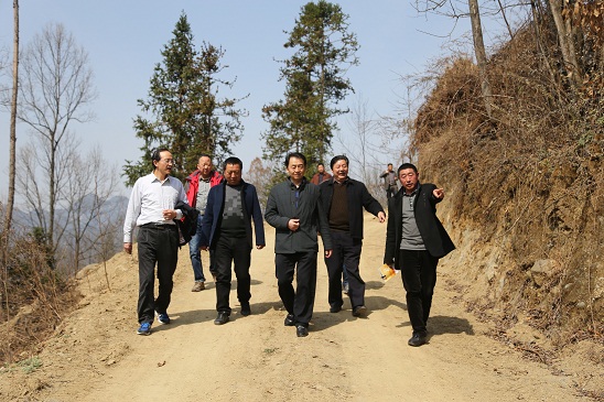 现场规划线路.jpg