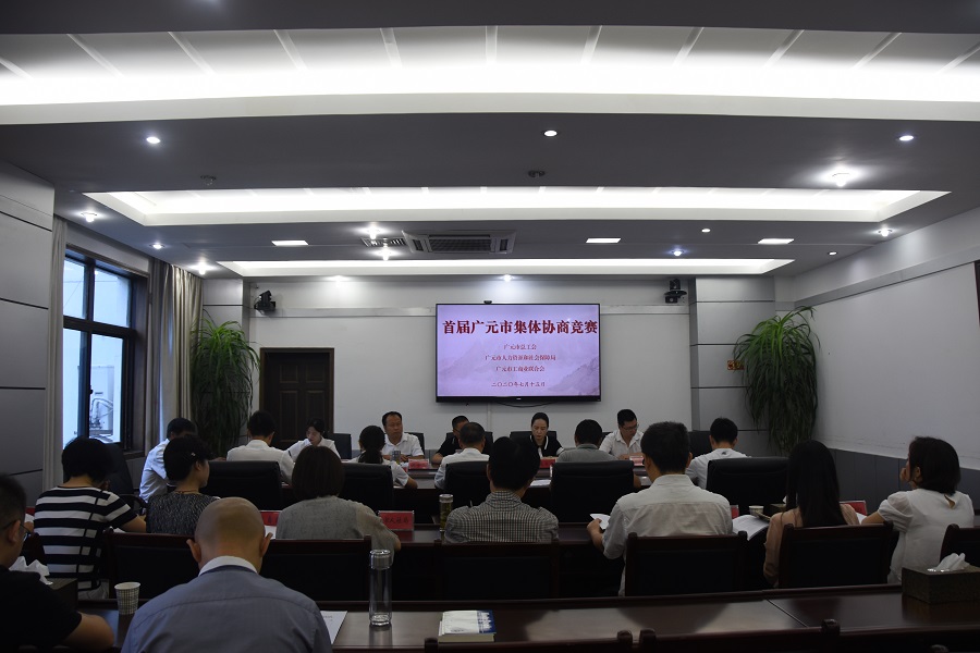 DSC_0853（秋红拍协商）.JPG